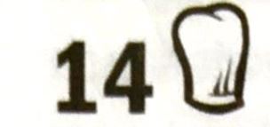 14 Hauben